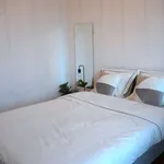 Rent a room in madrid