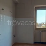 Rent 4 bedroom apartment of 120 m² in Genova