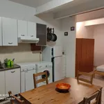 Rent 1 bedroom apartment of 35 m² in Collesalvetti