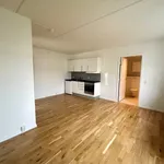 Rent 1 bedroom apartment of 43 m² in Aalborg Øst