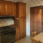 Rent a room in Bologna