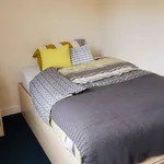 Rent 1 bedroom apartment in Canterbury