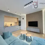 Rent 2 bedroom apartment of 43 m² in Łódź