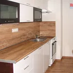 Rent 1 bedroom apartment of 37 m² in Týniště nad Orlicí