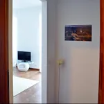 Rent 3 bedroom apartment of 30 m² in Turin