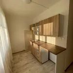 Rent 2 bedroom apartment in Sokolov