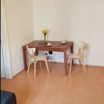 Rent 2 bedroom apartment of 50 m² in Nürnberg