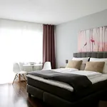 Rent 1 bedroom house of 32 m² in Cologne