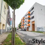 Rent 2 bedroom apartment of 58 m² in Brno