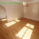 Rent 2 bedroom apartment of 42 m² in Pilsen