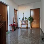 Rent 2 bedroom apartment of 45 m² in Perugia