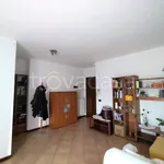 Rent 2 bedroom apartment of 60 m² in Selvazzano Dentro