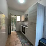 Rent 2 bedroom apartment of 65 m² in Viareggio