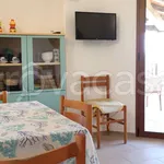 Rent 2 bedroom apartment of 50 m² in Arzachena