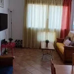 Rent 1 bedroom apartment in Cergy