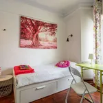 Rent a room in lisbon