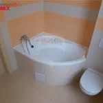 Rent 2 bedroom apartment of 45 m² in Rousínov