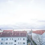 Rent 6 bedroom apartment of 71 m² in Berlin