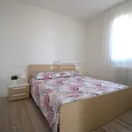 Rent 3 bedroom apartment of 70 m² in Jesolo