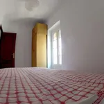 Rent 2 bedroom apartment of 50 m² in cadiz