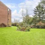 Rent 3 bedroom apartment in Sheffield