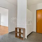 Rent 4 bedroom apartment of 95 m² in Capital City of Prague