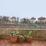 Rent 1 bedroom apartment of 13 m² in Neuchâtel