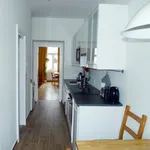 Rent 1 bedroom apartment in Vienna