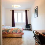 Rent 1 bedroom apartment of 50 m² in Prague