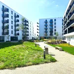 Rent 2 bedroom apartment in České Budějovice