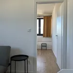 Rent 2 bedroom apartment of 33 m² in Zlín