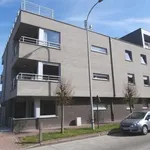 Huur 1 slaapkamer appartement in Ronse