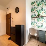 Rent 1 bedroom apartment of 16 m² in Gliwice