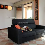 Rent 3 bedroom apartment of 100 m² in Garbagnate Milanese