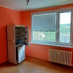 Rent 1 bedroom apartment of 36 m² in Jílové