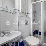 Rent 3 bedroom apartment of 100 m² in Zagreb