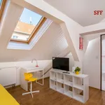 Rent 4 bedroom apartment of 25 m² in Prague