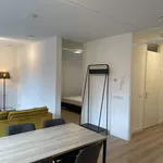 Huur 1 slaapkamer appartement van 50 m² in Groningen