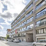 Rent 1 bedroom apartment in Mechelen