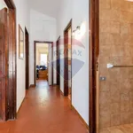 Rent 5 bedroom house of 120 m² in Trecastagni