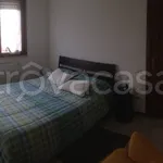 Rent 3 bedroom apartment of 70 m² in Pisa