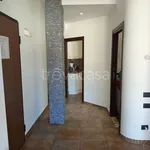 Rent 2 bedroom apartment of 60 m² in Roma