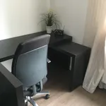 Rent 1 bedroom apartment of 452 m² in Dusseldorf