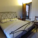 Rent 2 bedroom apartment of 50 m² in Luzzara