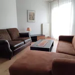 Rent 2 bedroom apartment of 54 m² in Wrocław