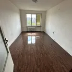 Pronájem bytu 2+1 58m²