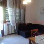 Rent 4 bedroom apartment of 90 m² in Siena