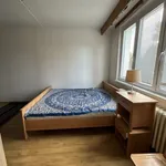 Rent 2 bedroom apartment of 60 m² in Mariánské Lázně