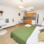 Rent 1 bedroom apartment of 30 m² in Brno