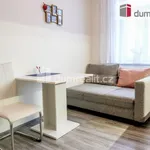 Rent 2 bedroom apartment of 30 m² in Luhačovice